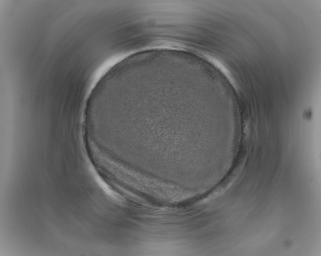 X0000090991379200708161908