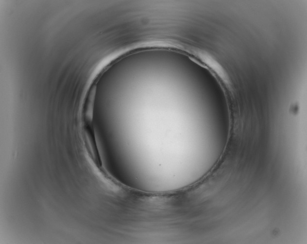X0000090991380200708161908