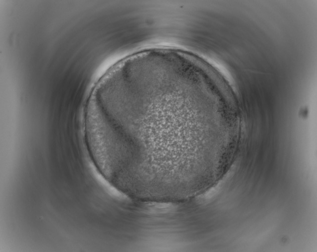X0000090991382200708161908