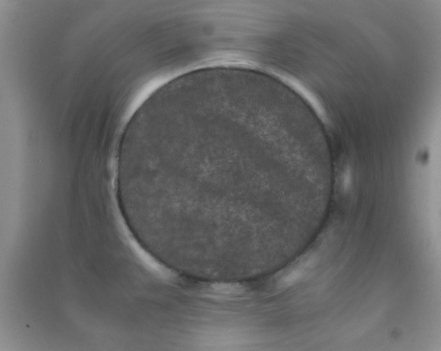 X0000090991383200708161908