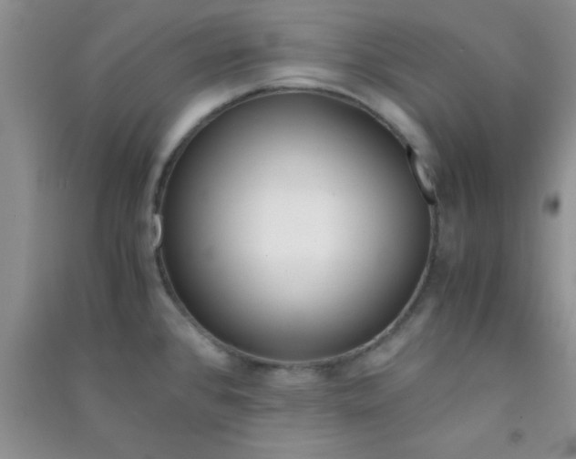 X0000090991384200708161908