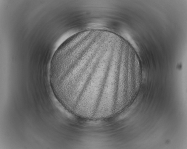 X0000090991386200708161908