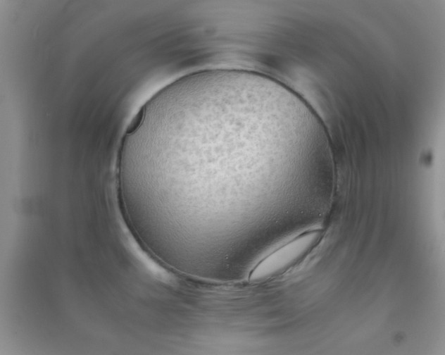 X0000090991387200708161908