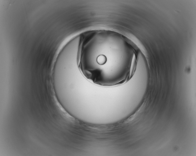 X0000090991388200708161908