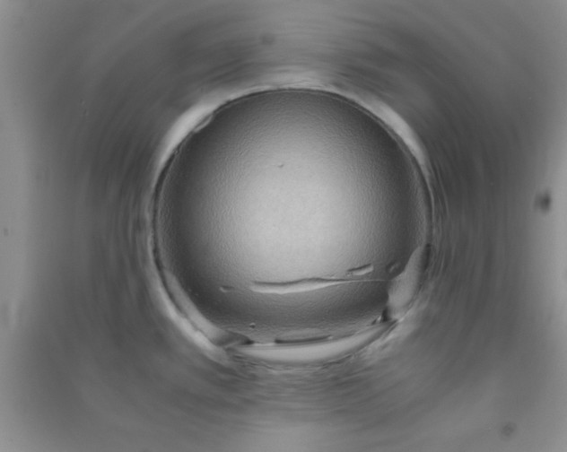 X0000090991389200708161908