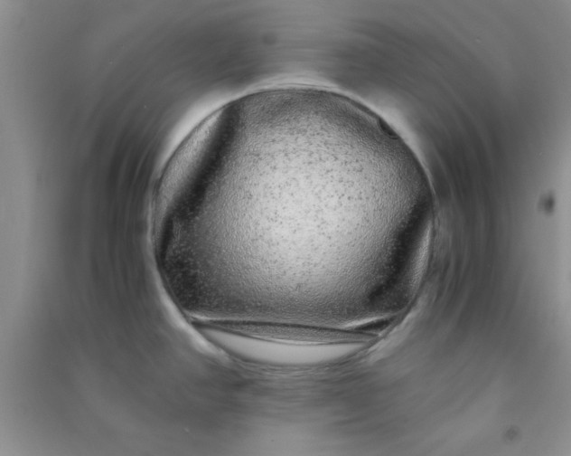 X0000090991390200708161908