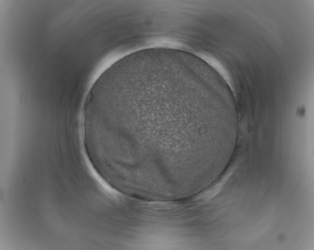 X0000090991391200708161908