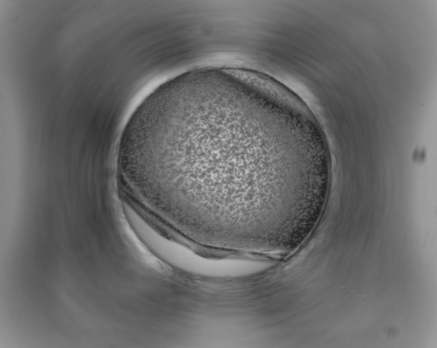 X0000090991392200708161908
