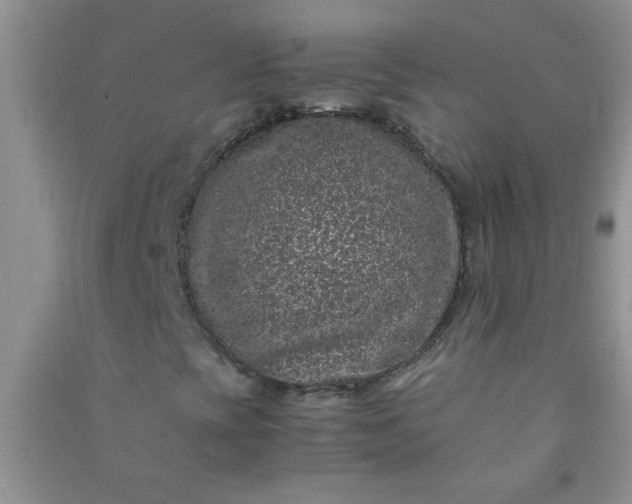 X0000090991393200708161907
