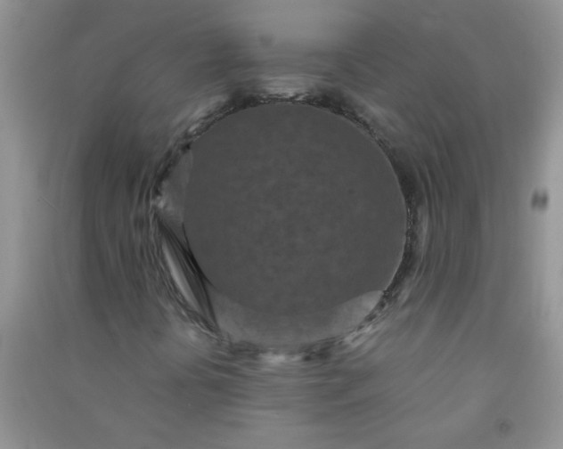 X0000090991394200708161907