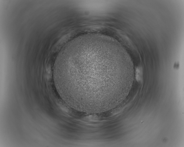 X0000090991395200708161907