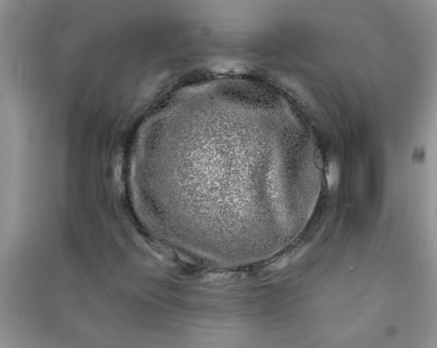 X0000090991396200708161907