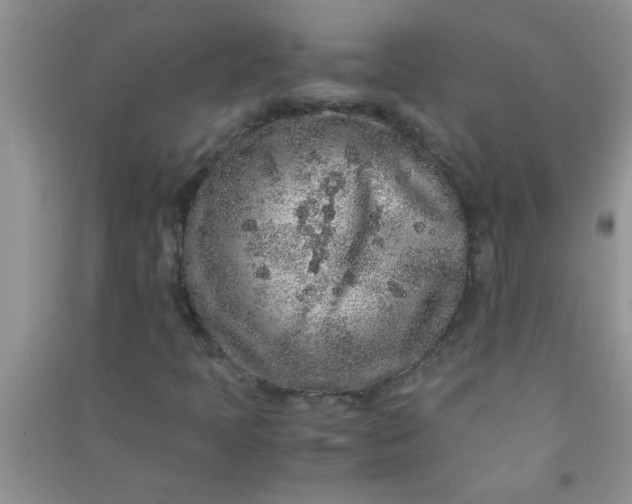 X0000090991397200708161907