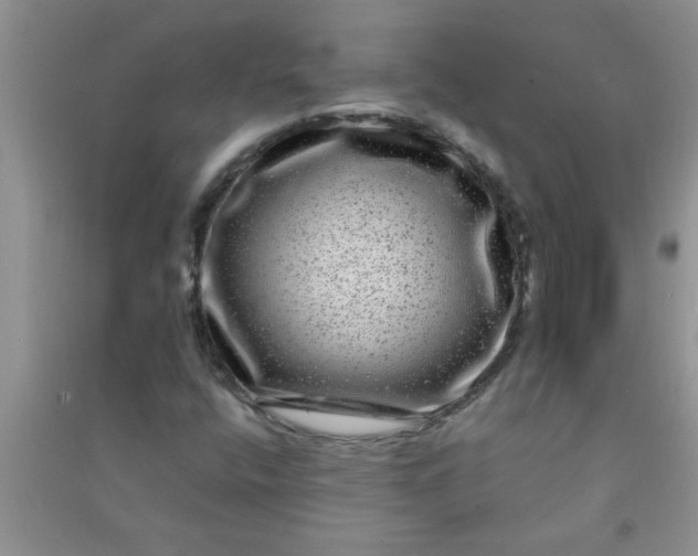 X0000090991400200708161907