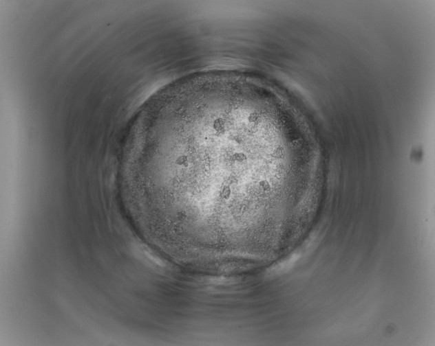X0000090991401200708161907