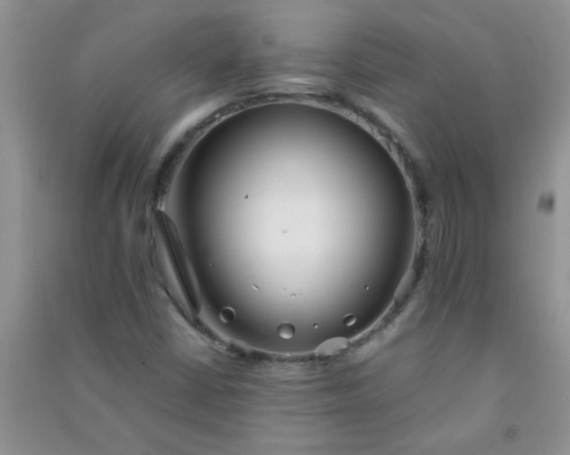 X0000090991402200708161907