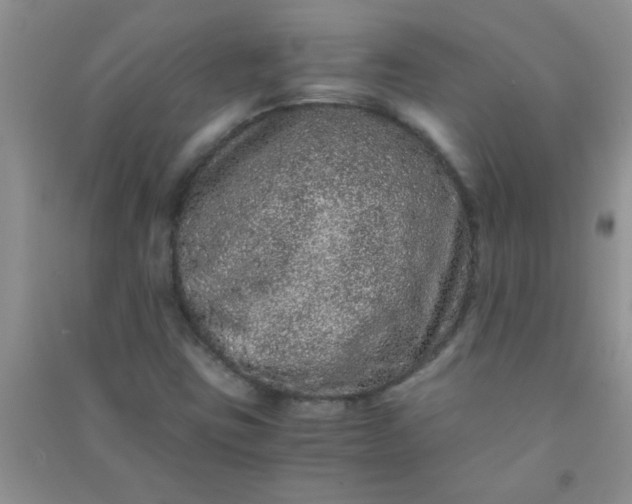 X0000090991403200708161907