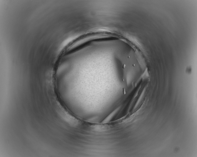 X0000090991404200708161907