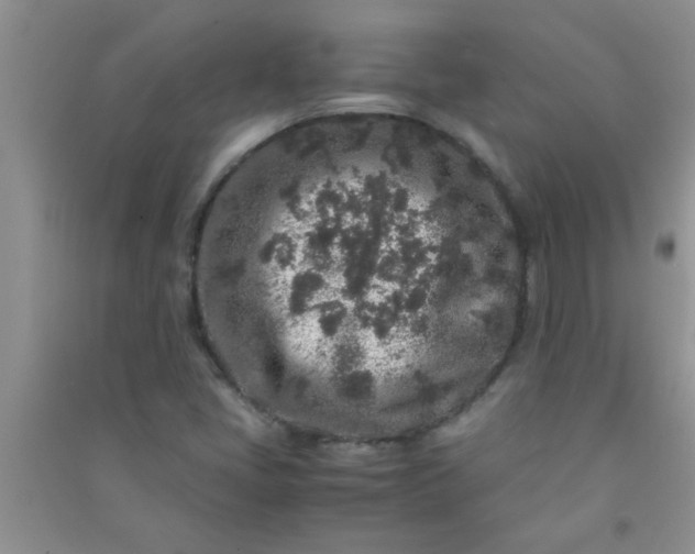 X0000090991405200708161907