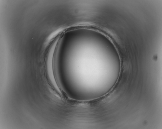 X0000090991406200708161907