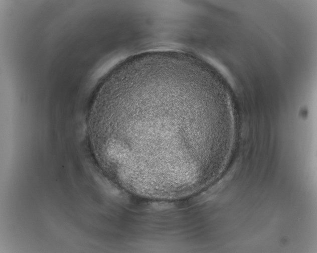 X0000090991407200708161907