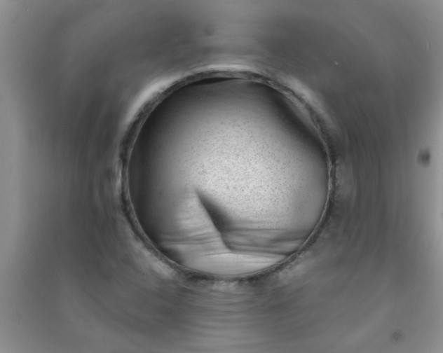 X0000090991408200708161907