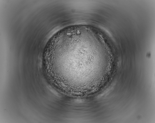 X0000090991409200708161907