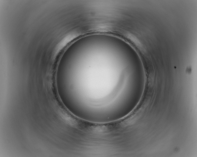X0000090991410200708161907