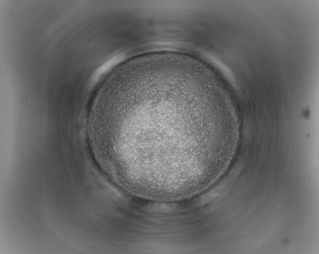 X0000090991411200708161907