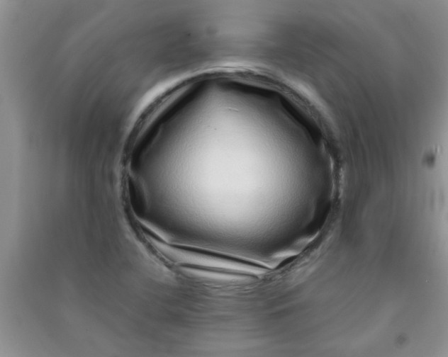 X0000090991412200708161907
