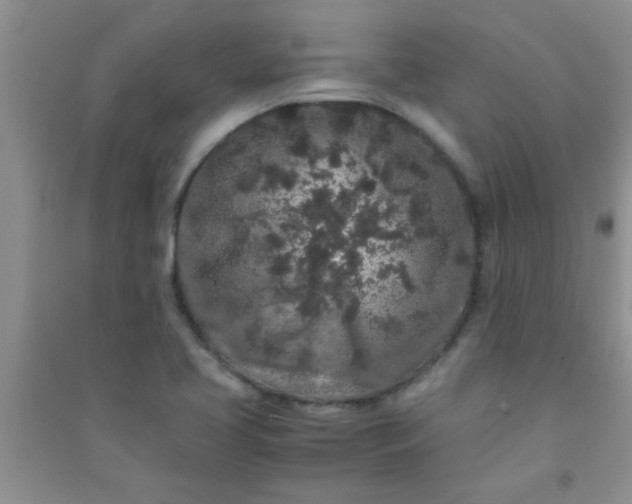 X0000090991413200708161908