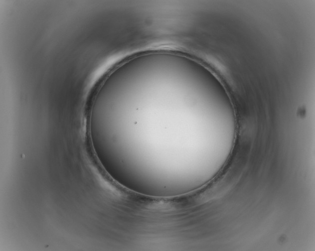 X0000090991414200708161908