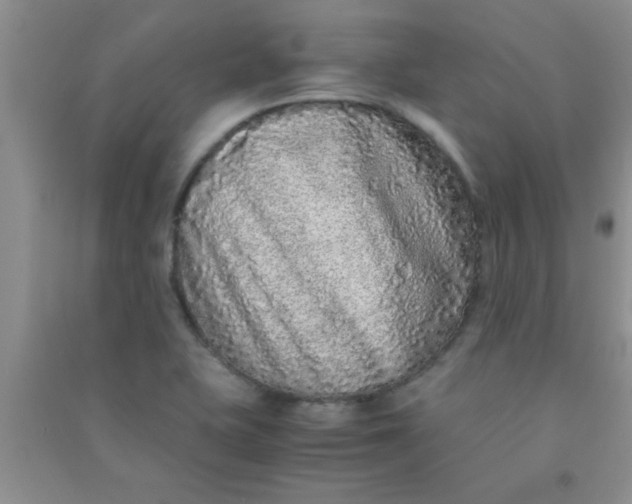 X0000090991415200708161908
