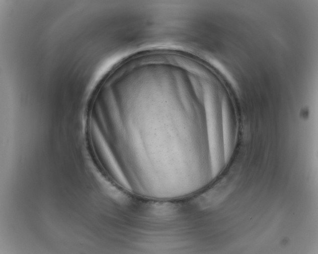 X0000090991416200708161908