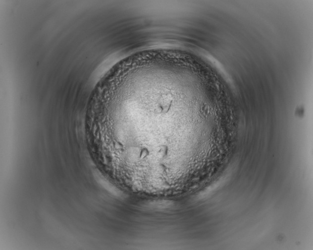 X0000090991417200708161908