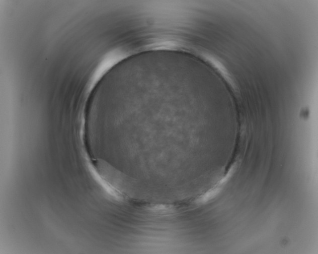 X0000090991418200708161908