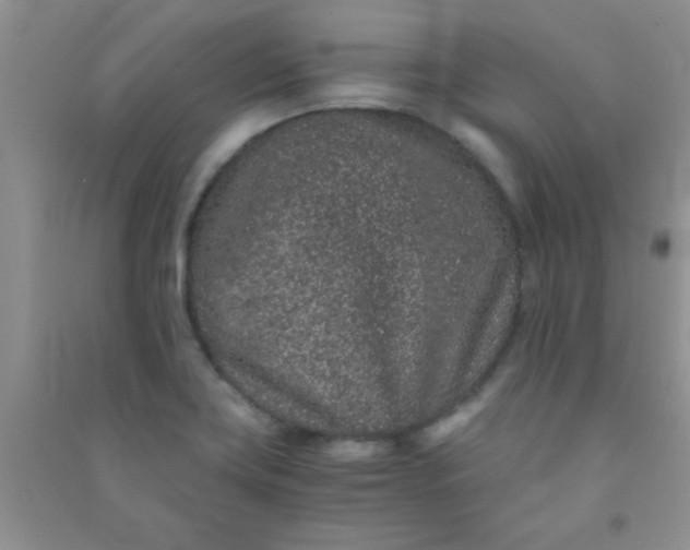 X0000090991419200708161908