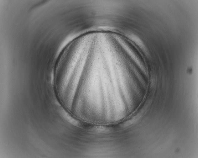 X0000090991420200708161908