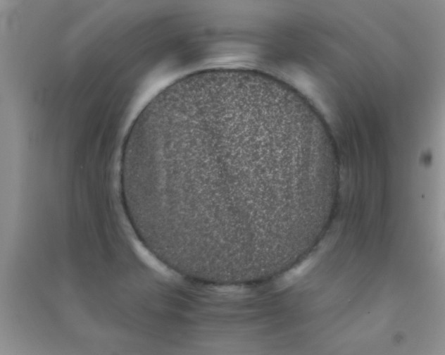 X0000090991421200708161908