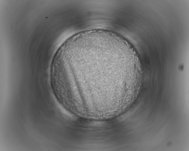 X0000090991423200708161908