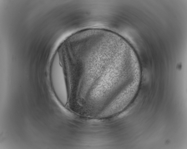 X0000090991424200708161908