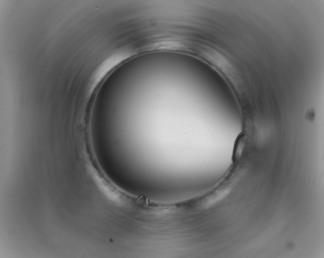 X0000090991426200708161908