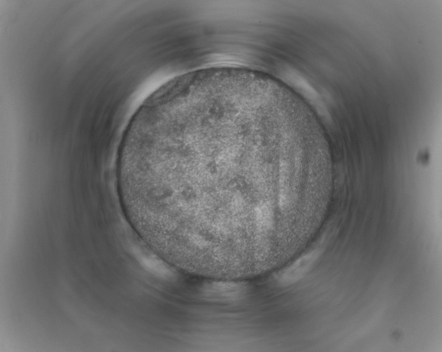 X0000090991427200708161908