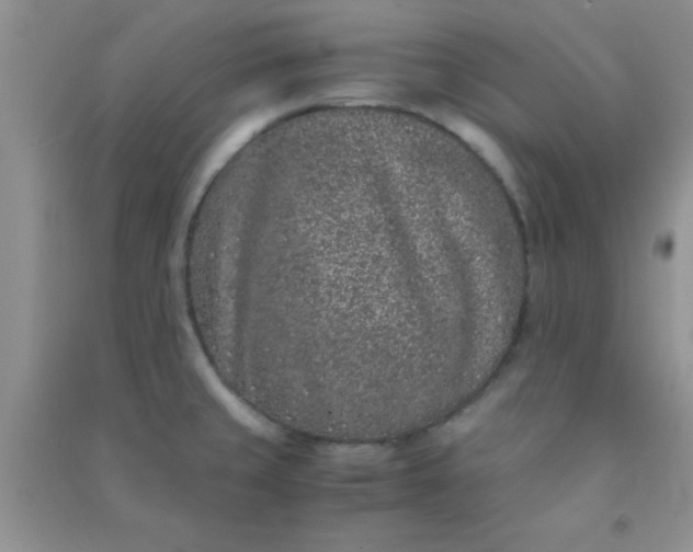 X0000090991429200708161908
