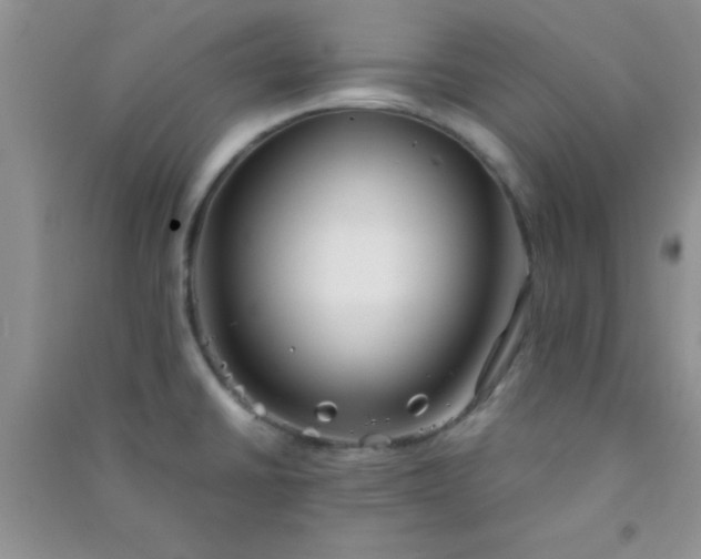 X0000090991430200708161908