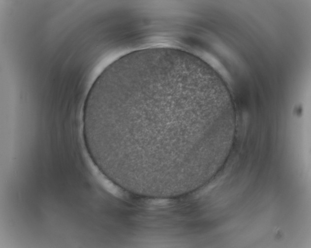 X0000090991431200708161908