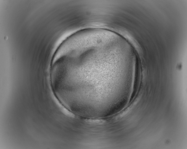 X0000090991432200708161908