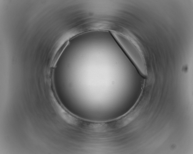 X0000090991434200708161908