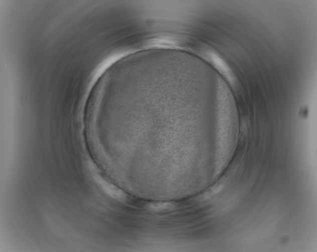 X0000090991435200708161908