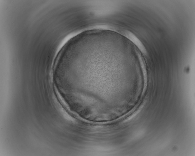 X0000090991436200708161908